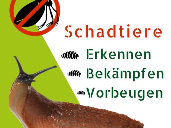 Schadtiere an Chili Pflanzen