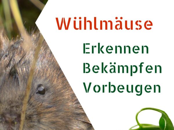 Wühlmäuse und Chilipflanzen