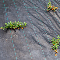 Folien, Vliese & Netze