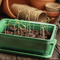 Zimmergewächshäuser